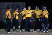 lbpn, leones, león, béisbol,