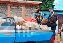 Incautan 10 sacos de presunta marihuana en una casa del Bº 380 de Managua