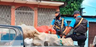 Incautan 10 sacos de presunta marihuana en una casa del Bº 380 de Managua