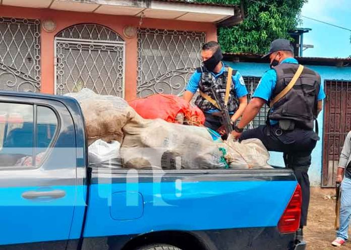 Incautan 10 sacos de presunta marihuana en una casa del Bº 380 de Managua