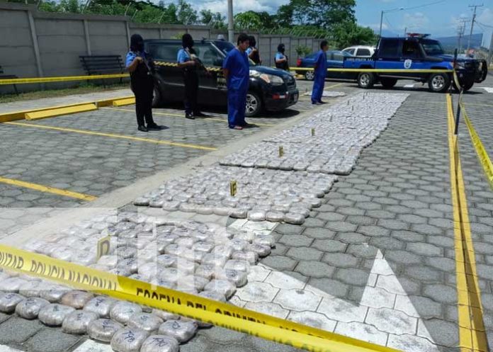 Incautación de más de 900 libras de marihuana en Managua