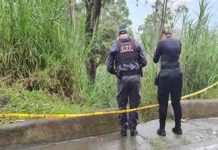 Colombia registra la masacre número 71 en lo que va del año 2021 Colombia registra la masacre número 71 en lo que va del año 2021