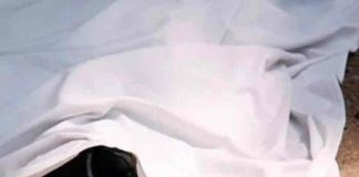 Hombre con esquizofrenia mató a su madre a golpes en Argentina