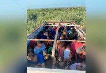 Rescatan a 80 migrantes hondureños abandonados en un camión en México