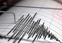 Registran un sismo de magnitud 5.6 frente a las costas del Pacífico mexicano Sismo de magnitud 5.6 sacude las costas del Pacífico mexicano