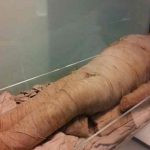 Hombre momifica a su madre para seguir cobrando ayudas del Estado