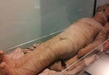 Hombre momifica a su madre para seguir cobrando ayudas del Estado