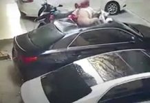 ¡Fogosa! Mujer cae de balcón en medio de encuentro íntimo (VIDEO) La joven cayó desde el balcón hasta un auto