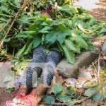 Nueva Segovia activa planes de respuesta en ejercicio multiamenazas