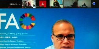 Nicaragua en consulta FAO sobre plan de acción juventud rural