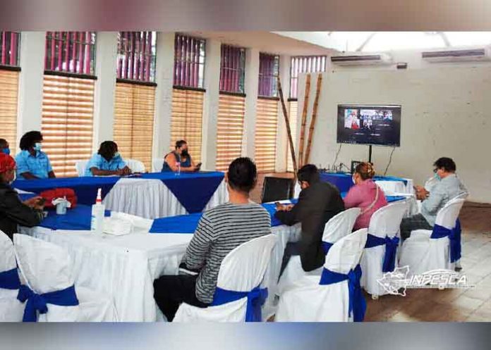 FAO e INPESCA: Taller Nacional de Nutrición para peces de Cultivo