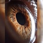 Originalmente todos los seres humanos tenían ojos marrones Originalmente todos los seres humanos tenían ojos marrones