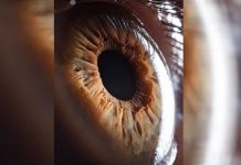 Originalmente todos los seres humanos tenían ojos marrones Originalmente todos los seres humanos tenían ojos marrones
