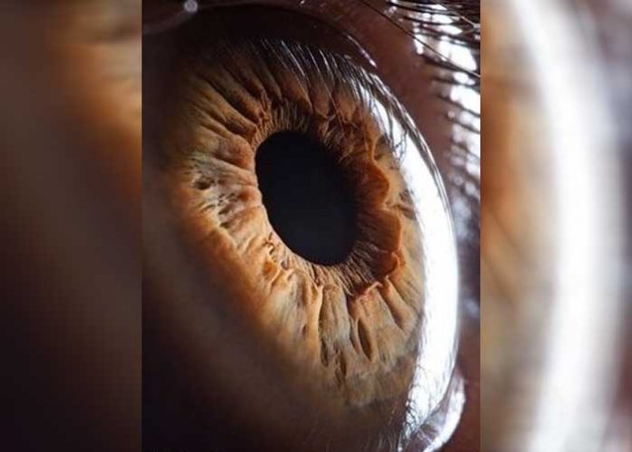 Originalmente todos los seres humanos tenían ojos marrones