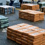 Decomisan en Panamá más de mil paquetes de cocaína que iban a Francia Decomisan en Panamá más de mil paquetes de droga que iban a Francia