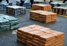 Decomisan en Panamá más de mil paquetes de cocaína que iban a Francia Decomisan en Panamá más de mil paquetes de droga que iban a Francia
