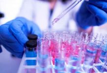 Conocé los factores más relevantes de la nueva cepa de COVID-19: Variante R.1 Detectan una nueva cepa de covid Variante R.1