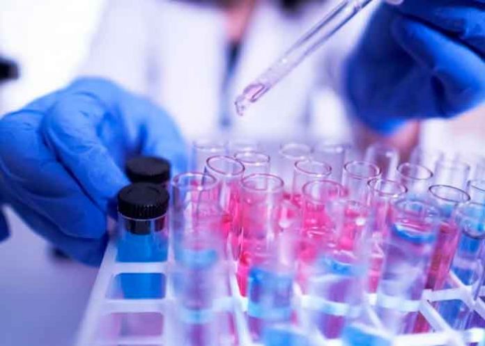 pandemia1 Detectan una nueva cepa de covid Variante R.1