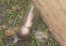 Viral: ¡No era una lombriz! Hombre encuentra en su jardín un órgano masculino Hombre encuentra en su jardín un órgano masculino