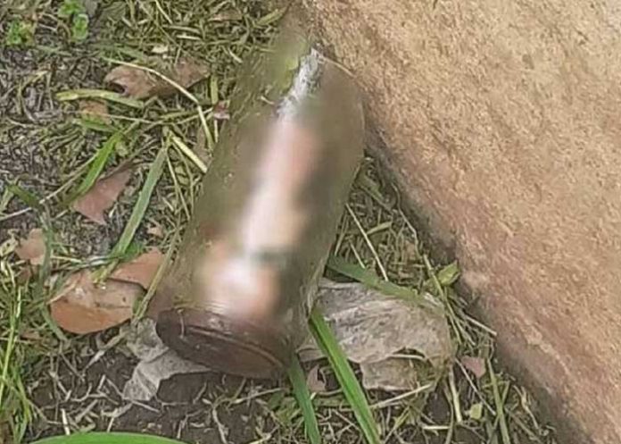 Hombre encuentra en su jardín un órgano masculino