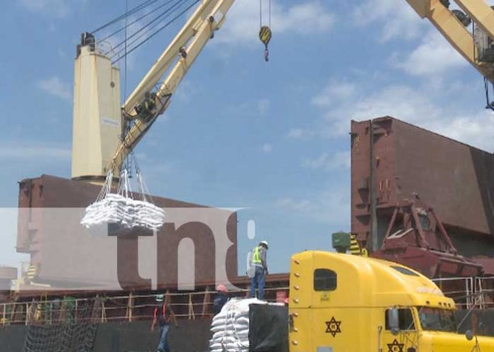 puerto-corinto-122 Actividad en Puerto Corinto, uno de los más importantes del país