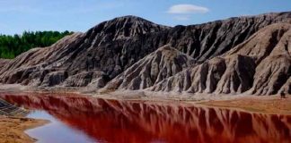 ¡Apocalíptico! Estanque se tiñe de rojo en Jordania y causa alarma