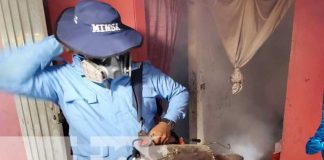 Jornada de salud con fumigación y abatización en el barrio Bóer