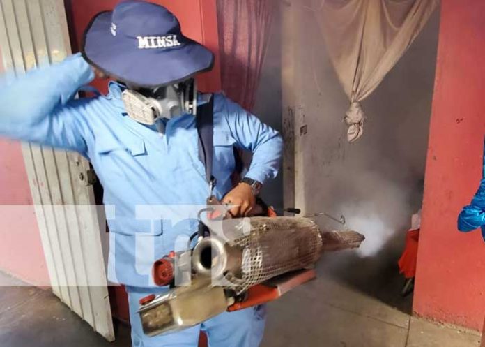 Jornada de salud con fumigación y abatización en el barrio Bóer