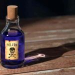 Un hombre con cáncer terminal mata a sus 13 perros y se suicida en México