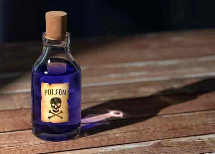 senor-se-mata- Un hombre con cáncer terminal mata a sus 13 perros y se suicida en México