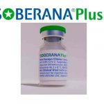 Destacan resultados positivos sobre vacuna cubana Soberana Plus Destacan resultados positivos sobre vacuna cubana Soberana Plus