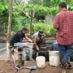 Proyecto de crianza de tilapias avanza con buenos resultados en Nandaime Crianza de tilapias en Nandaime