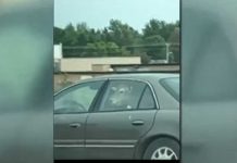 ¡Casual! Hombre visita un restaurante junto a una vaca (VIDEO) Hombre visita un restaurante junto a una vaca