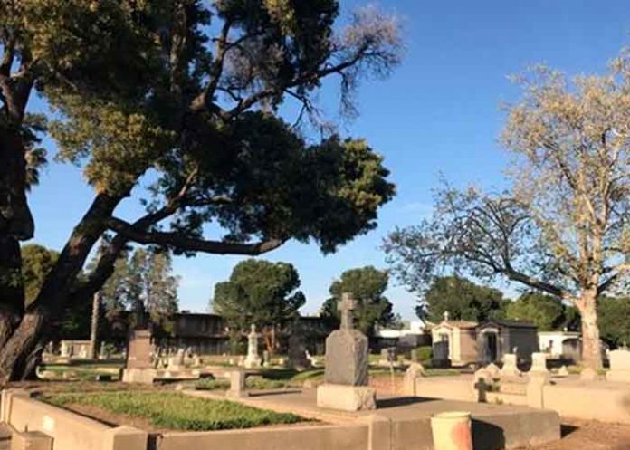 Descubre cabello saliendo de una tumba de más de 100 años