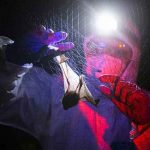 Científicos descubren un virus muy similar al del Covid-19 en murciélagos