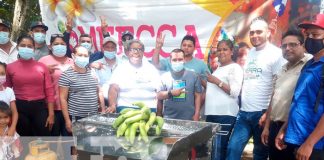 nicaragua, chinandega, produccion, agricultura,