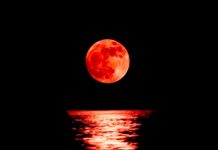 Luna de sangre está por iluminar el cielo nocturno este octubre Luna de sangre está por iluminar el cielo nocturno este octubre.