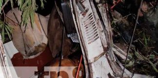 Camión termina en un guindo por desperfectos mecánicos en Nueva Guinea