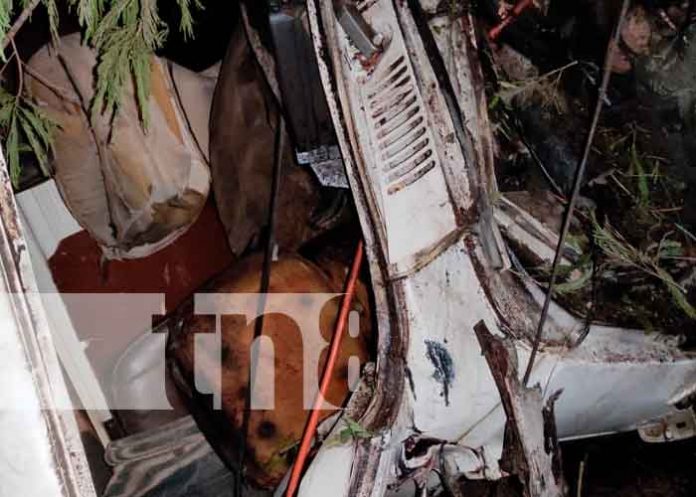 Camión termina en un guindo por desperfectos mecánicos en Nueva Guinea