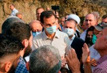 Ejecutan en Siria a 24 personas por provocar incendios forestales