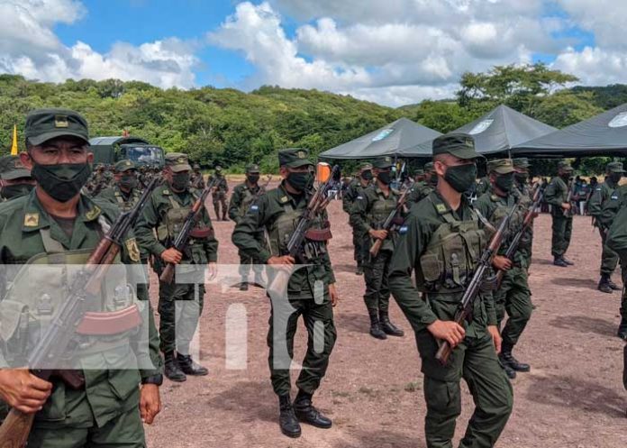 Ejército despliega sus tropas para asegurar la cosecha de café en la región uno