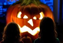 Espeluznante verdad detrás de la calabaza, símbolo de la “noche de brujas” Espeluznante verdad detrás de calabaza, símbolo de la “noche de brujas”