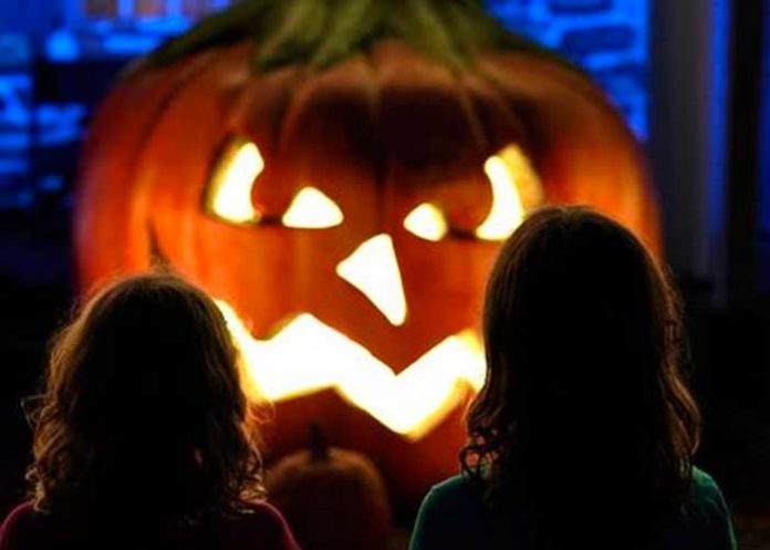 1 Espeluznante verdad detrás de calabaza, símbolo de la “noche de brujas”