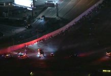 Vuelos suspendidos tras tiroteo en el Aeropuerto Internacional de Los Ángeles