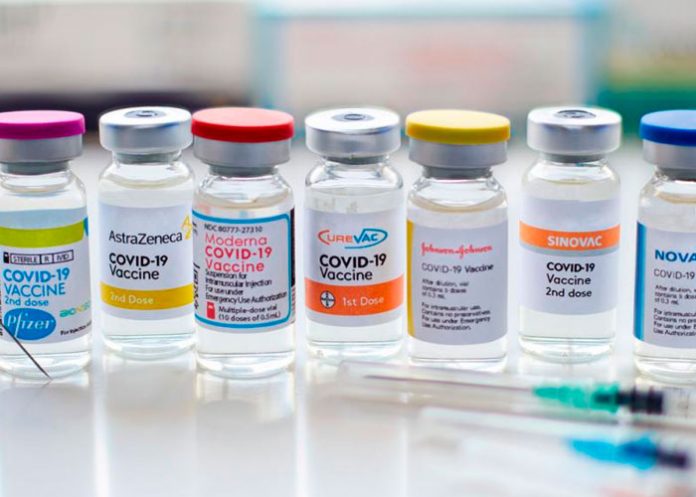 1 OMS: Las naciones ricas del mundo podrían poner fin a la pandemia del COVID-19.