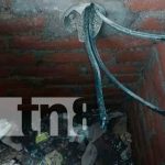 Roban cables de energía eléctrica en una Universidad de Rivas Roban cables de energía eléctrica en una Universidad de Rivas