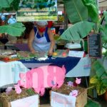 Realizan encuentro de emprendedores dedicados a la agro industria Realizan encuentro de emprendedores dedicados a la agro industria