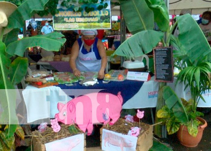 1 Realizan encuentro de emprendedores dedicados a la agro industria