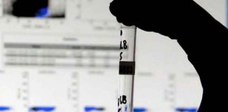 Científicos hallan un anticuerpo eficaz contra todas las variantes de covid-19