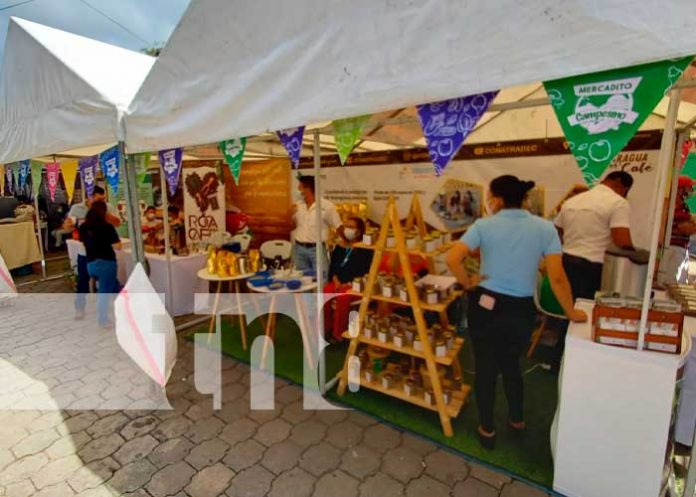 Exitosa expocafé 2021 se desarrolló en Jinotega